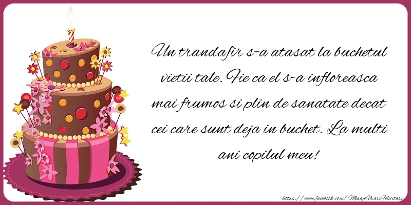Felicitari aniversare Pentru Copii - La multi ani copilul meu!
