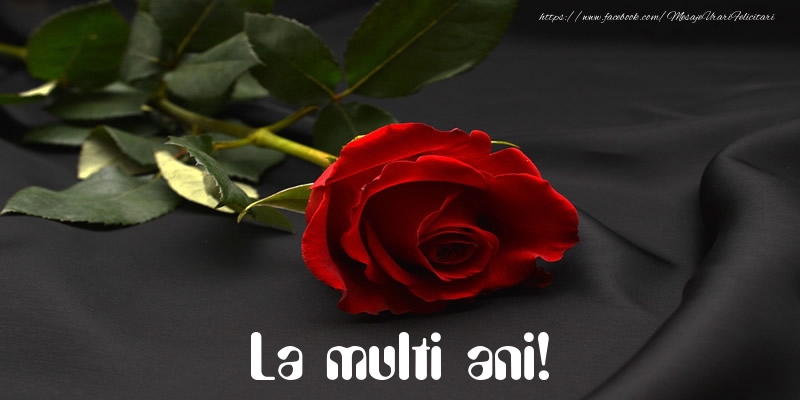 Felicitari aniversare De La Multi Ani - La multi ani!