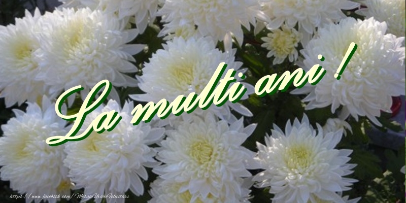 Felicitari aniversare De La Multi Ani - La multi ani!