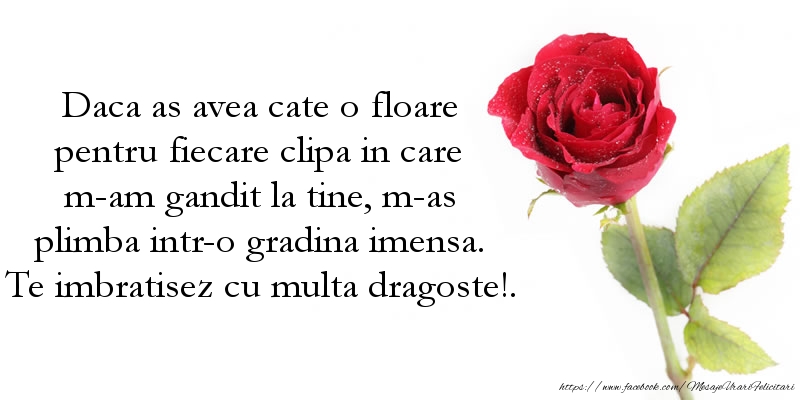 Felicitari aniversare De La Multi Ani - Te imbratisez cu multa dragoste!.