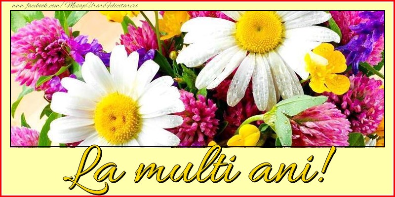 Felicitari aniversare De La Multi Ani - La multi ani!