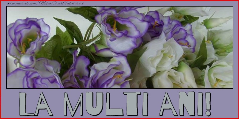 Felicitari aniversare De La Multi Ani - La multi ani!