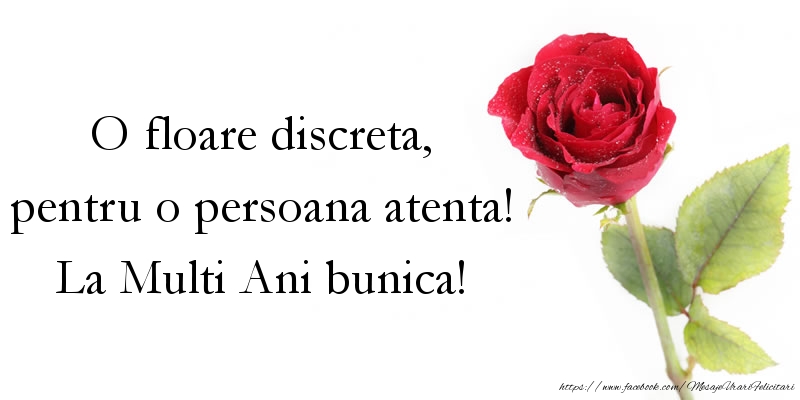Felicitari aniversare De La Multi Ani - O floare discreta ... La Multi Ani bunica!
