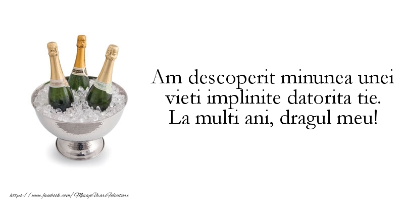 Felicitari aniversare De La Multi Ani - Am descoperit minunea unei vieti implinite datorita tie.
