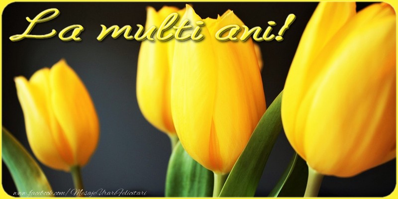 Felicitari aniversare De La Multi Ani - La multi ani!