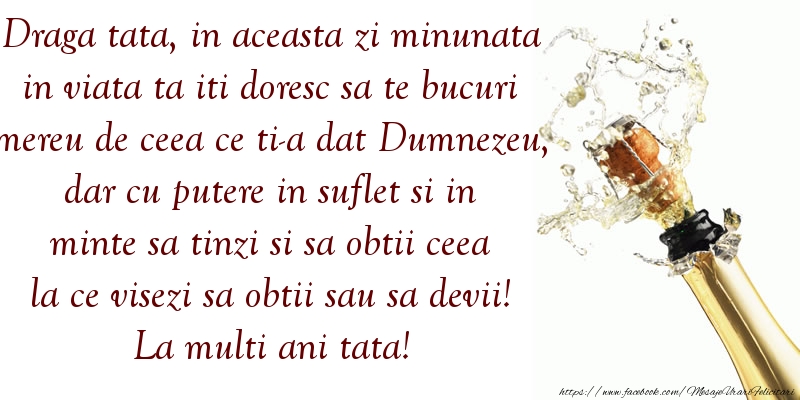 Felicitari aniversare De La Multi Ani - Draga tata, in aceasta zi minunata in viata ta iti doresc