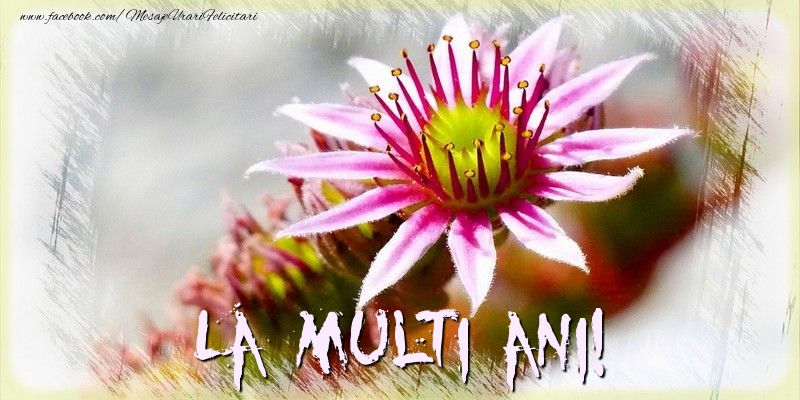 Felicitari aniversare De La Multi Ani - La multi ani!