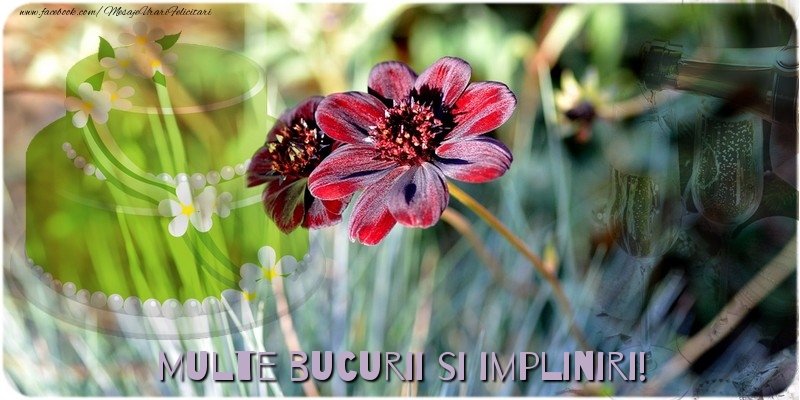 Felicitari aniversare De La Multi Ani - Multe bucurii si impliniri!