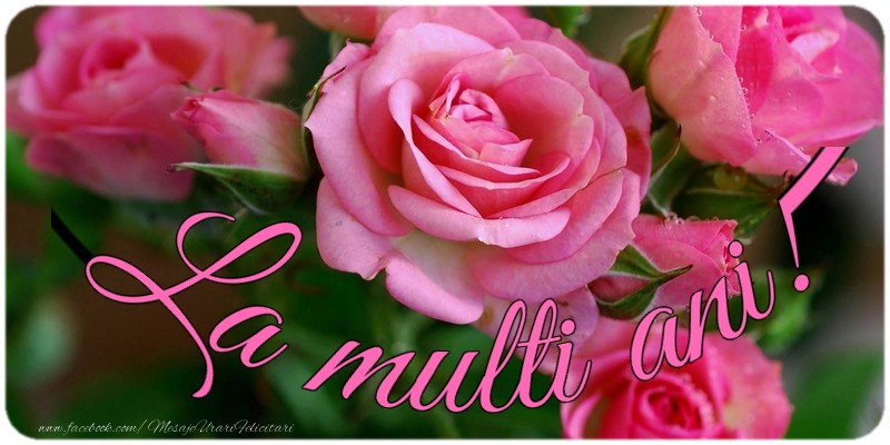 Felicitari aniversare De La Multi Ani - La multi ani