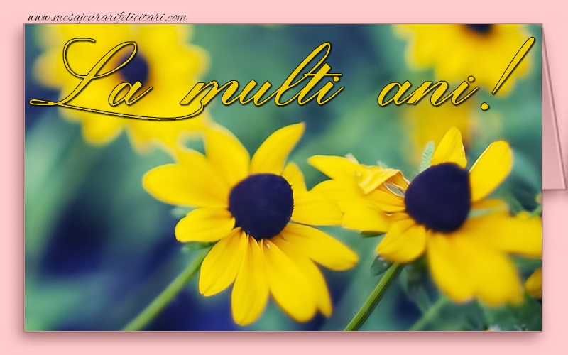 Felicitari aniversare De La Multi Ani - La multi ani
