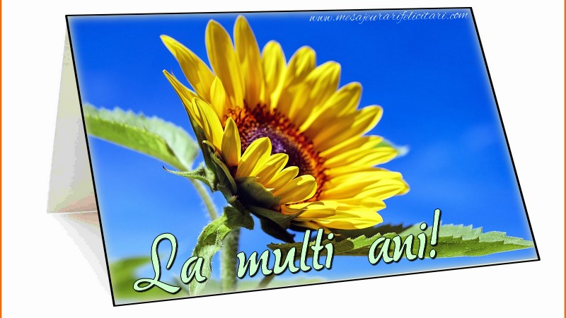Felicitari aniversare De La Multi Ani - La multi ani