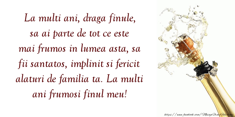 Felicitari aniversare De La Multi Ani - Draga finule sa fii santatos, implinit si fericit alaturi de familia ta