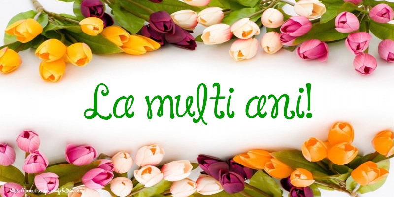 Felicitari aniversare De La Multi Ani - La multi ani!