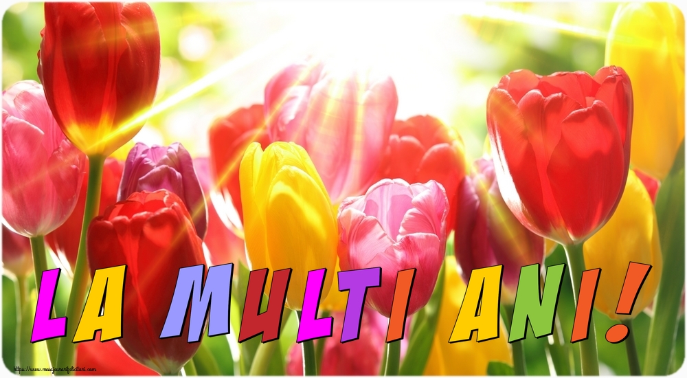 Felicitari aniversare De La Multi Ani - La multi ani!