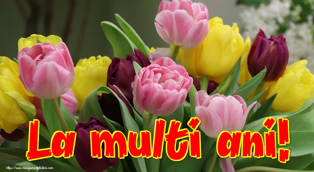 Felicitari aniversare De La Multi Ani - La multi ani!
