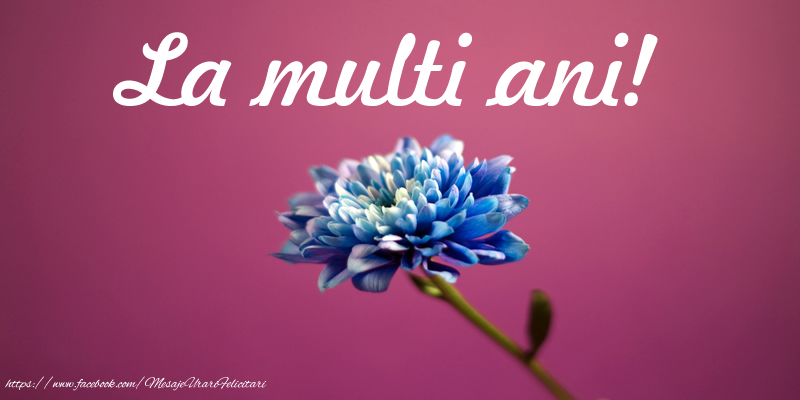 Felicitari aniversare De La Multi Ani - La multi ani!