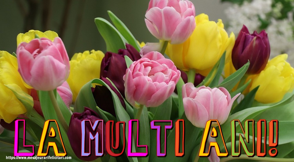 Felicitari aniversare De La Multi Ani - La multi ani!