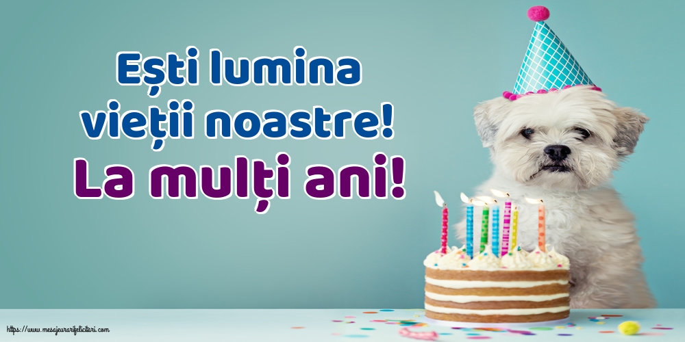 Felicitari aniversare De La Multi Ani - La mulţi ani!
