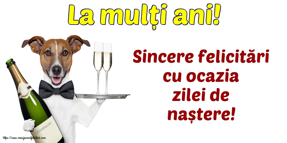 Felicitari aniversare De La Multi Ani - La mulți ani! Sincere felicitări cu ocazia zilei de naștere!