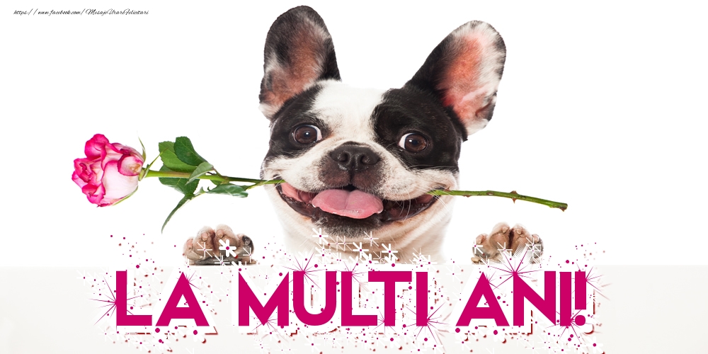 Felicitari aniversare De La Multi Ani - La multi ani!
