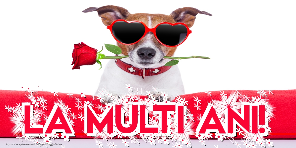 Felicitari aniversare De La Multi Ani - La multi ani!