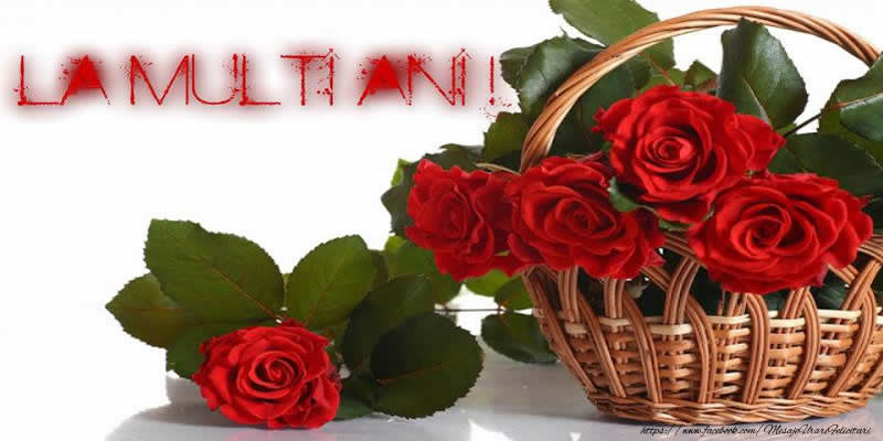 Felicitari aniversare De La Multi Ani - La multi ani!
