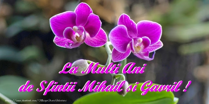 Felicitari aniversare De Sfintii Mihail si Gavril - La multi ani de Sfintii Mihail si Gavril!