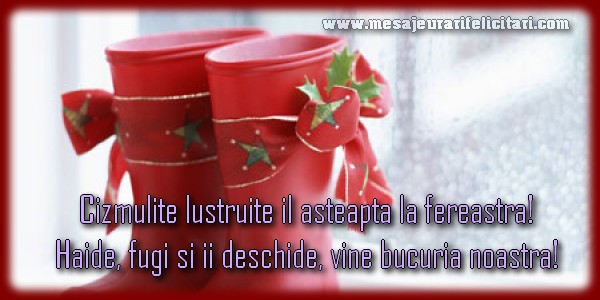 Felicitari aniversare De Sfantul Nicolae - In asteptarea lui Mos Nicolae