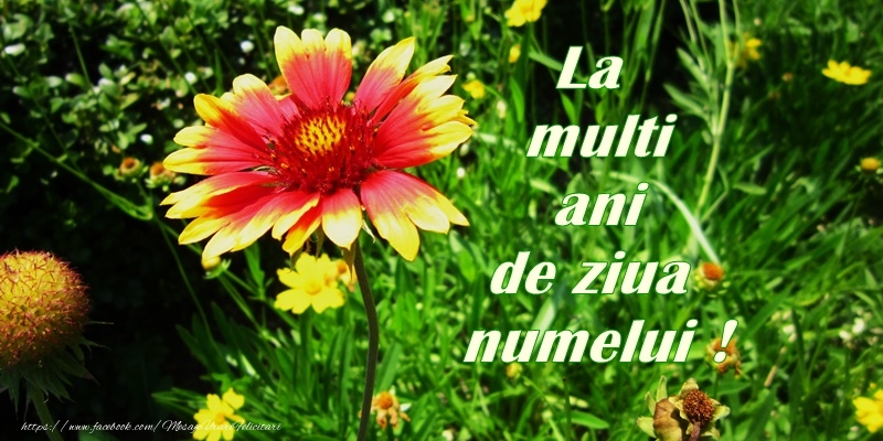 Felicitari aniversare De Sfantul Nicolae - La multi ani de ziua numelui!