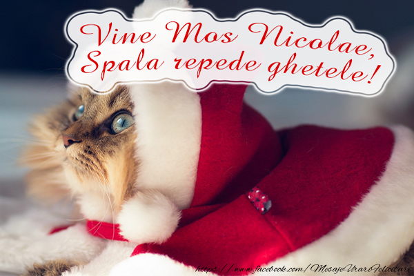 Felicitari aniversare De Sfantul Nicolae - Vine Mos Nicolae. Spala repede ghetele!