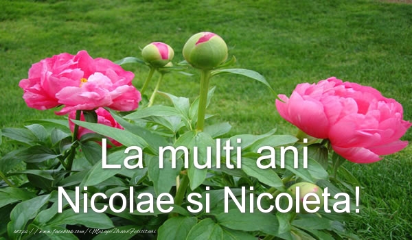 Felicitari aniversare De Sfantul Nicolae - La multi ani Nicolae si Nicoleta!