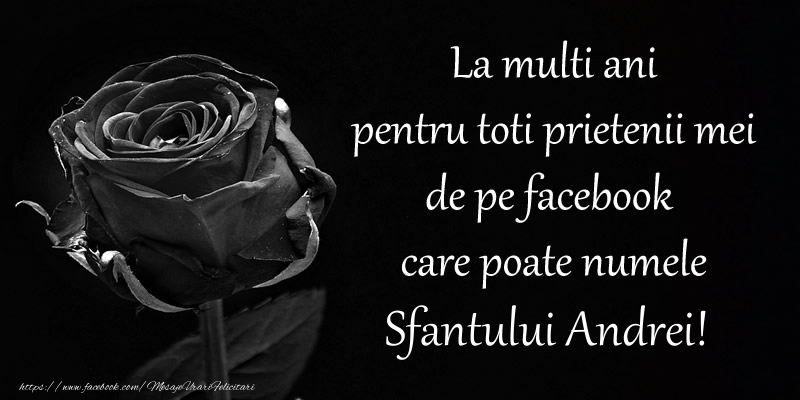Felicitari aniversare De Sfantul Andrei - La multi ani pentru toti prietenii mei de pe facebook care poate numele Sfantului Andrei!