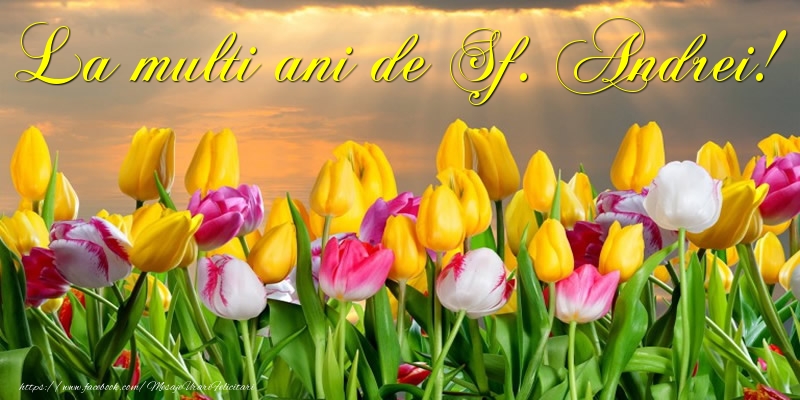 Felicitari aniversare De Sfantul Andrei - La multi ani de Sf. Andrei!