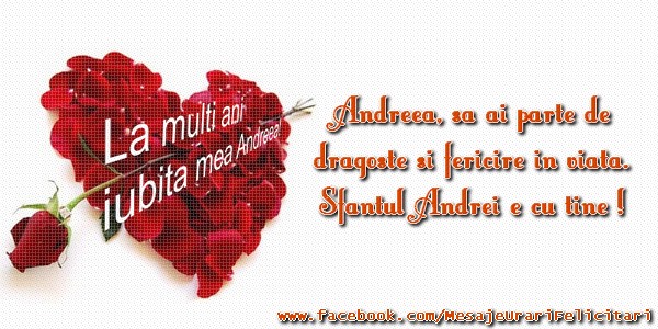 Felicitari aniversare De Sfantul Andrei - Andreea, sa ai parte de dragoste si fericire in viata