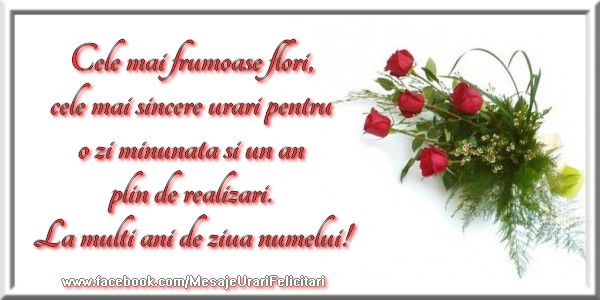 Felicitari aniversare De Sfantul Andrei - Cele mai frumoase flori, cele mai sincere urari pentru o zi minunata