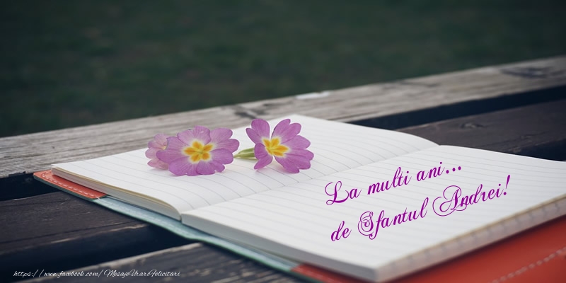 Felicitari aniversare De Sfantul Andrei - La multi ani... de Sfantul Andrei!