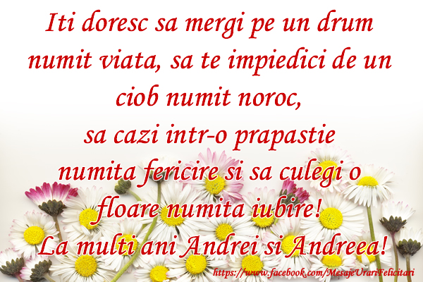 Felicitari aniversare De Sfantul Andrei - Iti doresc sa mergi pe un drum numit viata