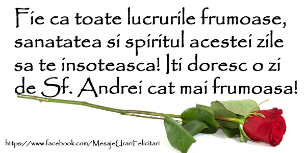 Felicitari aniversare De Sfantul Andrei - Sanatatea si spiritul acestei zile sa te insoteasca