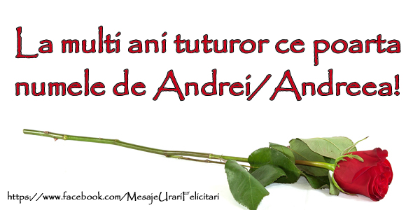 Felicitari aniversare De Sfantul Andrei - La multi ani tuturor ce poarta numele Andrei/Andreea!