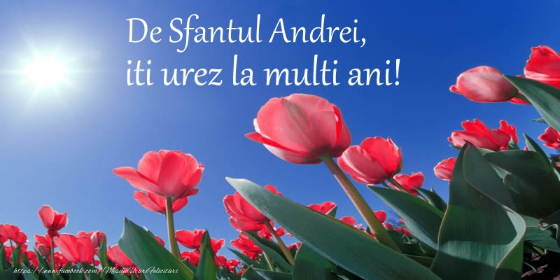 Felicitari aniversare De Sfantul Andrei - De Sfantul Andrei, iti urez La multi ani!