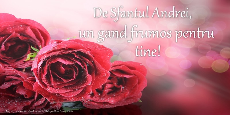 Felicitari aniversare De Sfantul Andrei - De Sfantul Andrei, un gand frumos pentru tine!