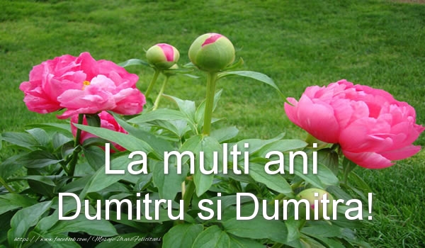 Felicitari aniversare De Sfantul Dumitru - La multi ani Dumitru si Dumitra!