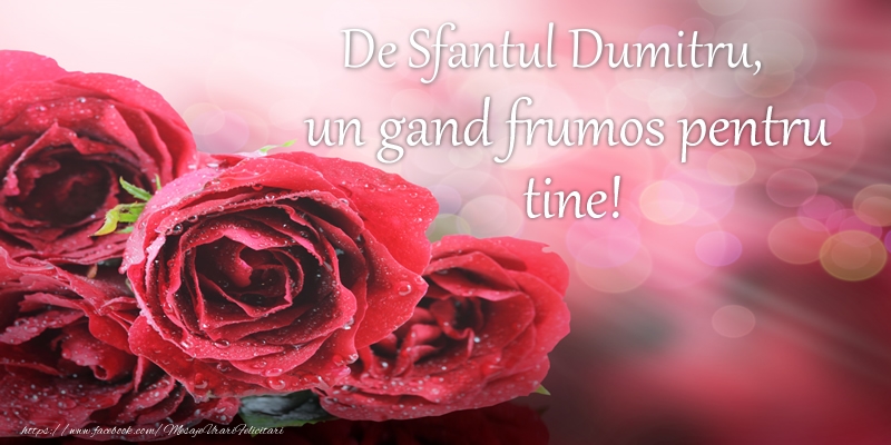 Felicitari aniversare De Sfantul Dumitru - De Sfantul Dumitru, un gand frumos pentru tine!