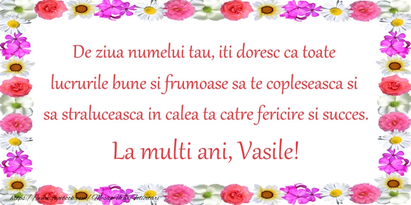 Felicitari aniversare De Sfantul Vasile - De ziua numelui tau, iti doresc ca toate lucrurile bune si frumoase sa te copleseasca si sa straluceasca in calea ta catre fericire si succes. La Multi Ani Vasile!
