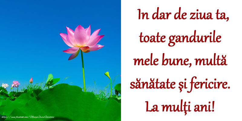 Felicitari aniversare De Zi De Nastere - In dar de ziua ta, toate gandurile mele bune, multă sănătate şi fericire. La mulţi ani!
