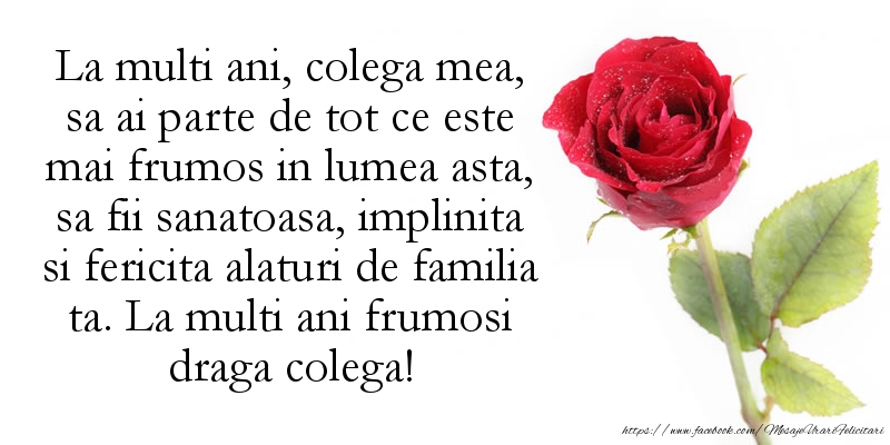 Felicitari aniversare De Zi De Nastere - La multi ani frumosi colega mea