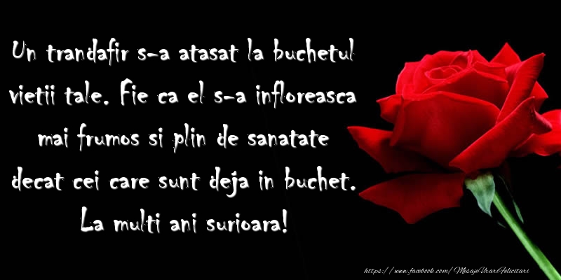 Felicitari aniversare De Zi De Nastere - Un trandafir s-a atasat la buchetul vietii tale ... La multi ani surioara!