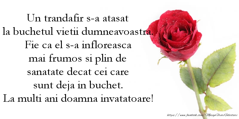 Felicitari aniversare De Zi De Nastere - Un trandafir s-a atasat la buchetul vietii dumneavoastra ... La multi ani doamna invatatoare!