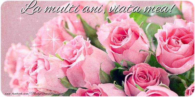 Felicitari aniversare De Zi De Nastere - La multi ani, viata mea!
