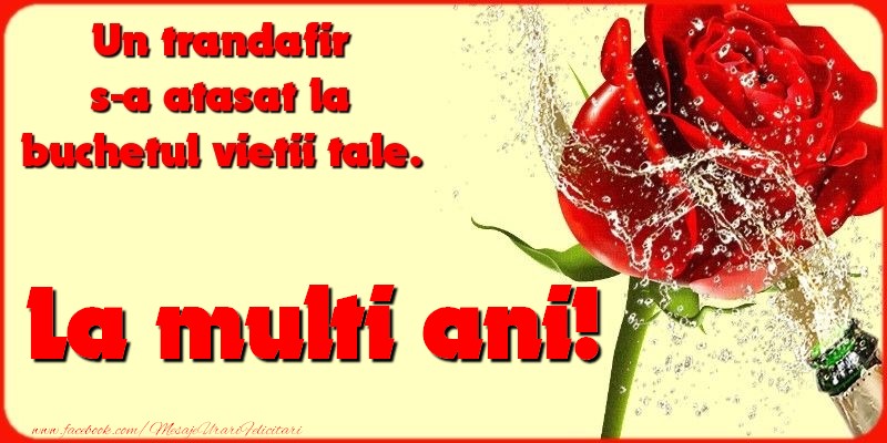 Felicitari aniversare De Zi De Nastere - La multi ani